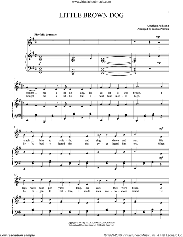 Little Brown Dog sheet music for voice and piano by Folksong, intermediate skill level