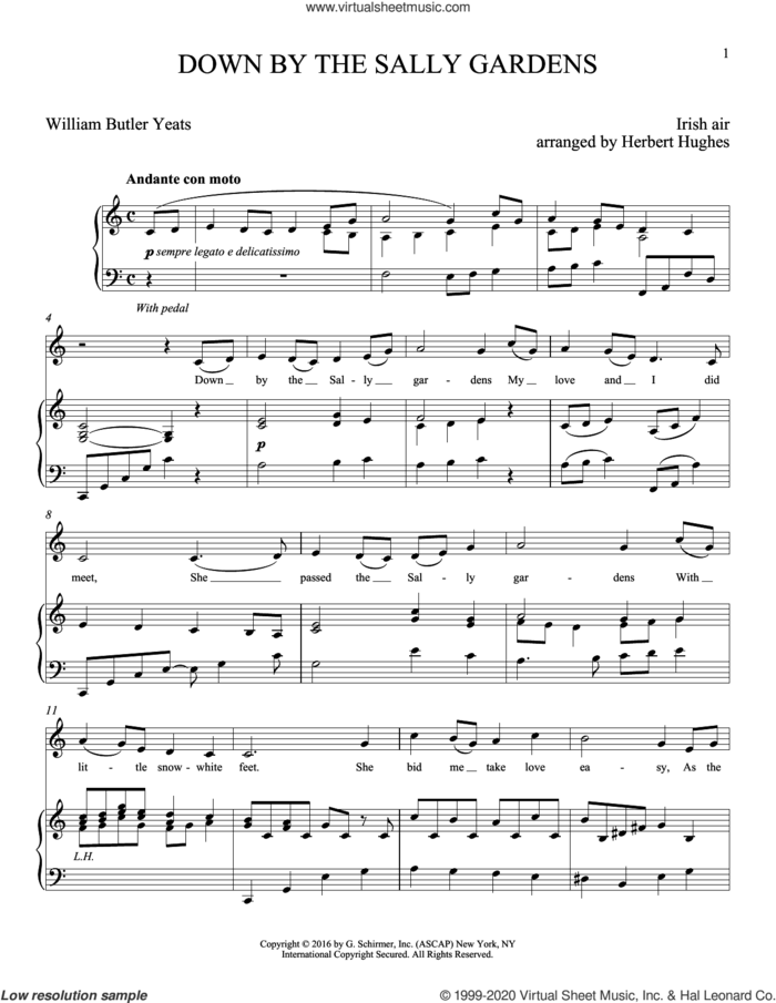Down By The Sally Gardens sheet music for voice and piano by William Butler Yeats, Joan Frey Boytim, Herbert Hughes and Shore', intermediate skill level