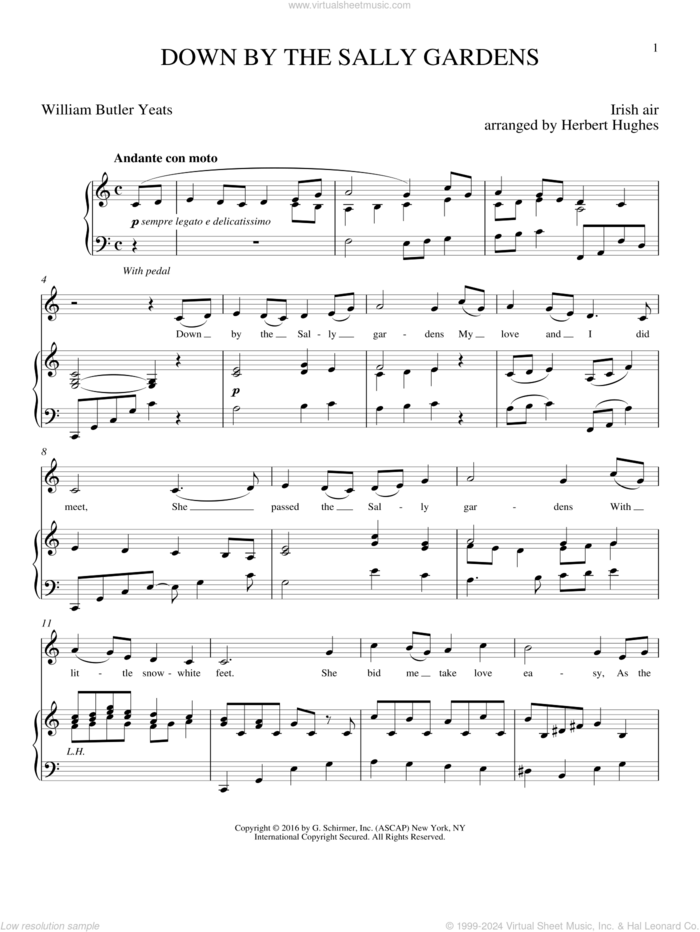 Down By The Sally Gardens sheet music for voice and piano by William Butler Yeats, Joan Frey Boytim, Herbert Hughes and Shore', intermediate skill level