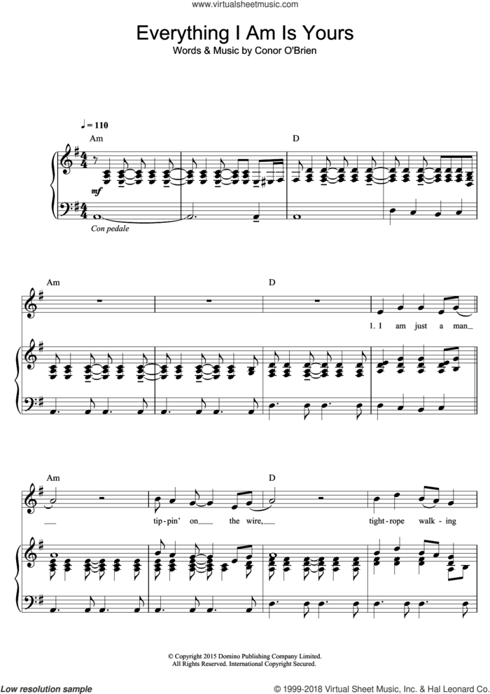 Everything I Am Is Yours sheet music for voice, piano or guitar by Villagers, intermediate skill level