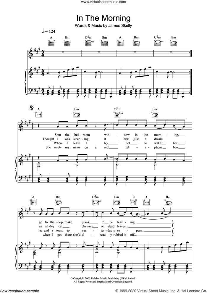 In The Morning sheet music for voice, piano or guitar by The Coral and James Skelly, intermediate skill level