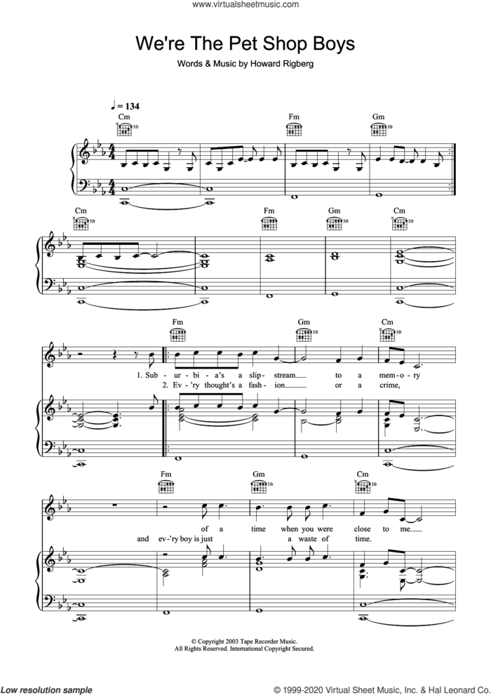 We're The Pet Shop Boys sheet music for voice, piano or guitar by Robbie Williams and Howard Rigberg, intermediate skill level