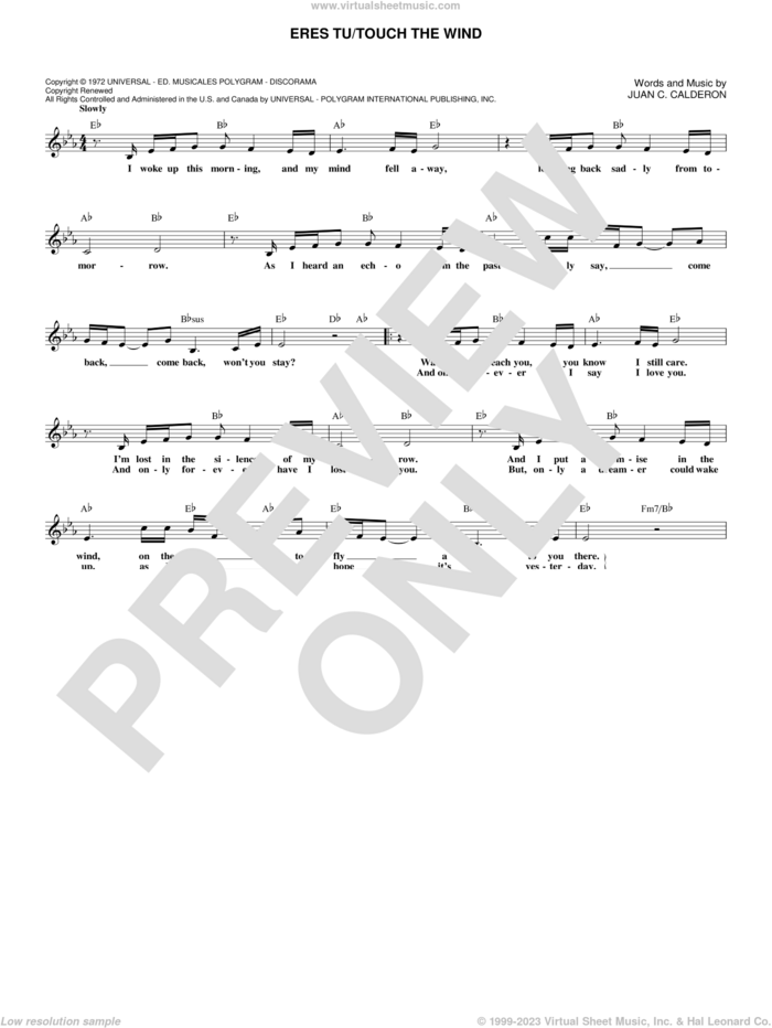 Eres Tu/Touch The Wind sheet music for voice and other instruments (fake book) by Mocedades and Juan C. Calderon, intermediate skill level