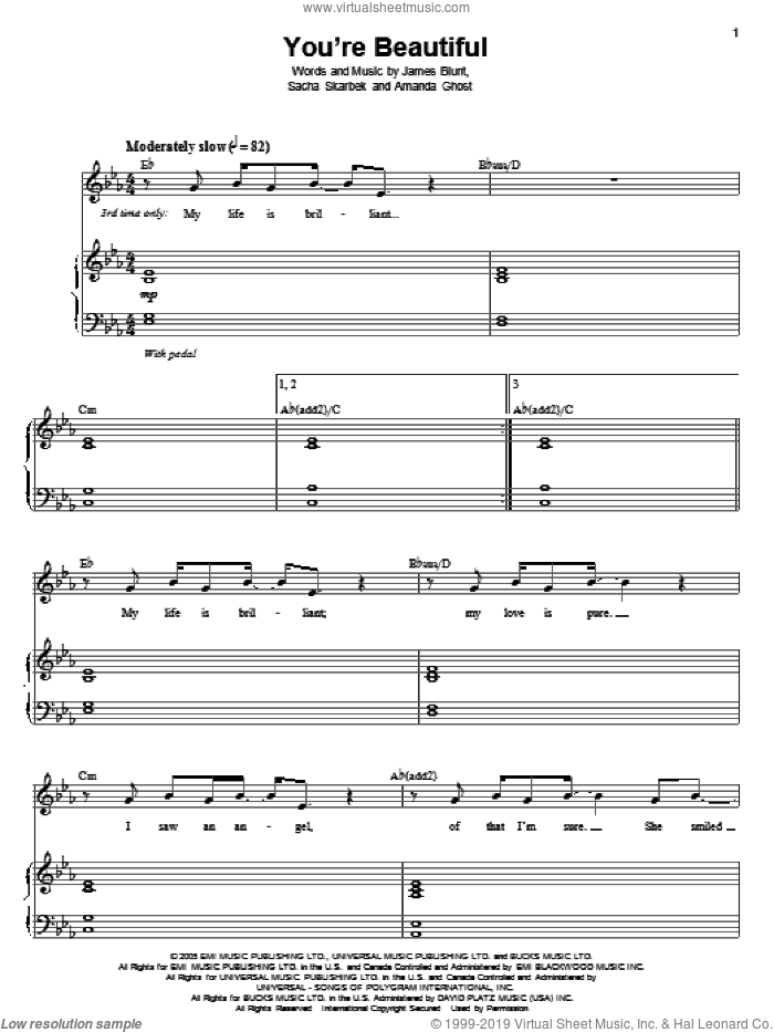 You're Beautiful sheet music for voice and piano by James Blunt, Amanda Ghost and Sacha Skarbek, intermediate skill level