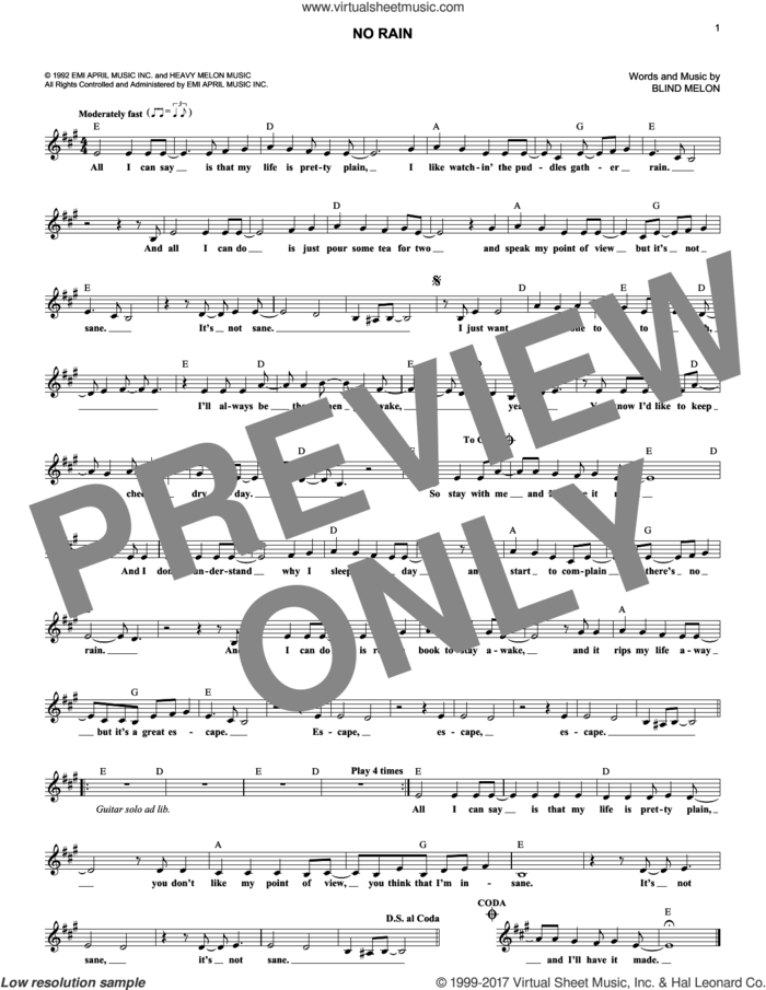No Rain sheet music for voice and other instruments (fake book) by Blind Melon, intermediate skill level