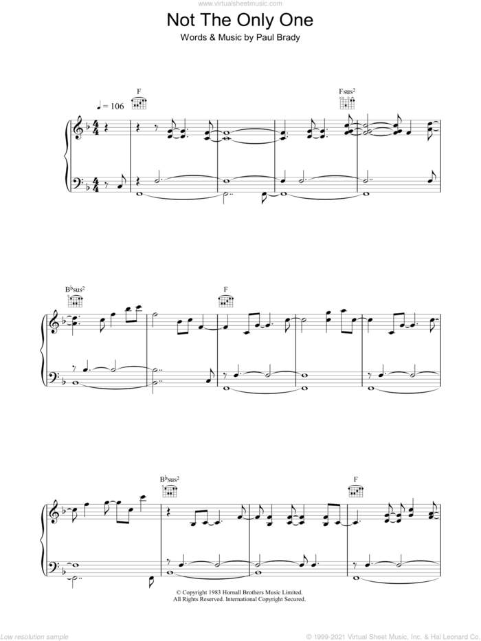 Not The Only One sheet music for voice, piano or guitar by Paul Brady, intermediate skill level