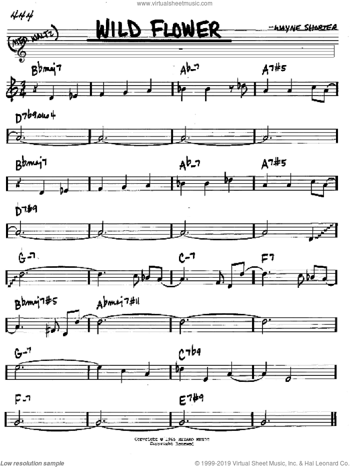 Wild Flower sheet music for voice and other instruments (in C) by Wayne Shorter, intermediate skill level