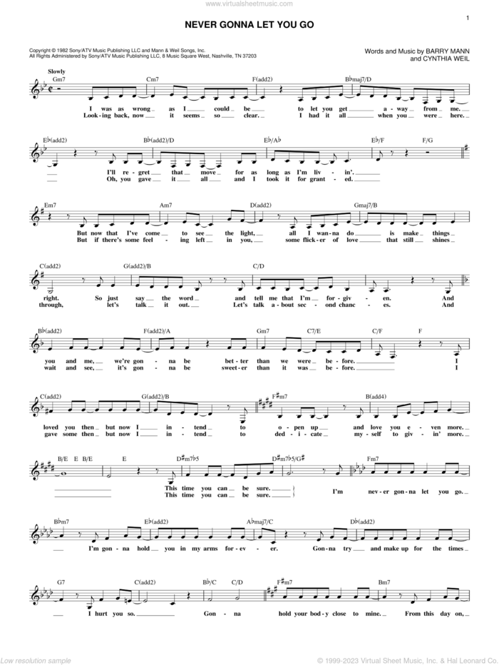 Never Gonna Let You Go sheet music for voice and other instruments (fake book) by Sergio Mendes, Barry Mann and Cynthia Weil, intermediate skill level
