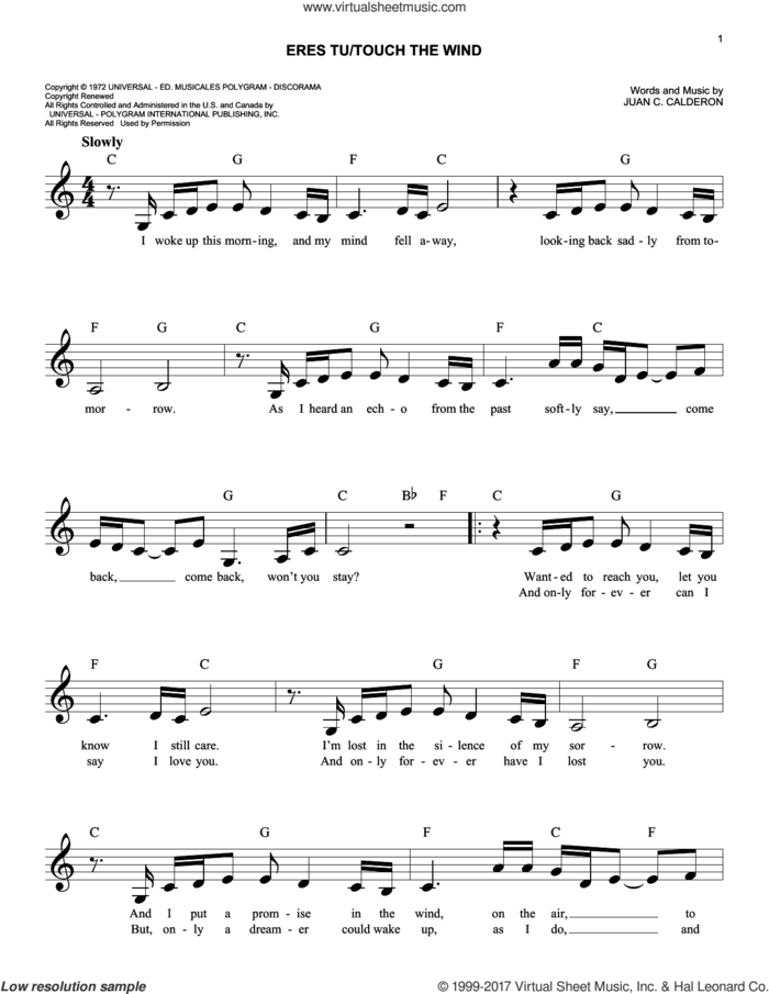 Eres Tu/Touch The Wind sheet music for voice and other instruments (fake book) by Mocedades and Juan C. Calderon, easy skill level