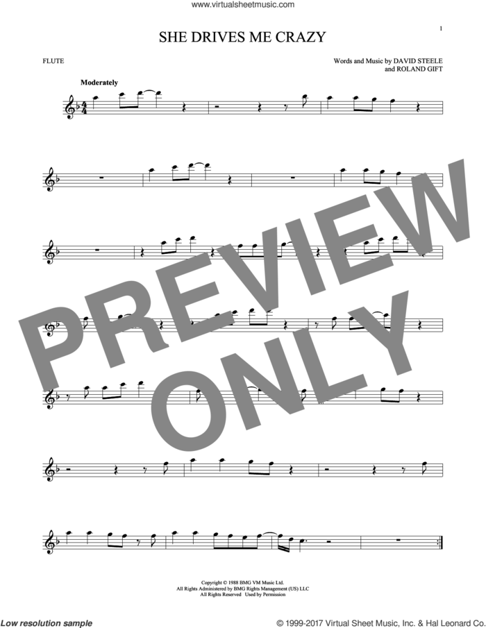 She Drives Me Crazy sheet music for flute solo by Fine Young Cannibals, David Steele and Roland Gift, intermediate skill level
