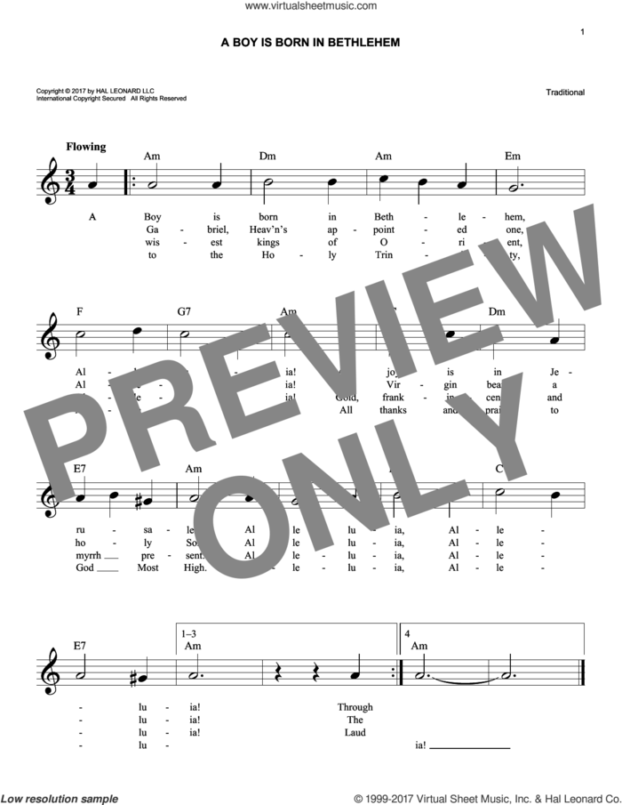 A Boy Is Born In Bethlehem sheet music for voice and other instruments (fake book), easy skill level