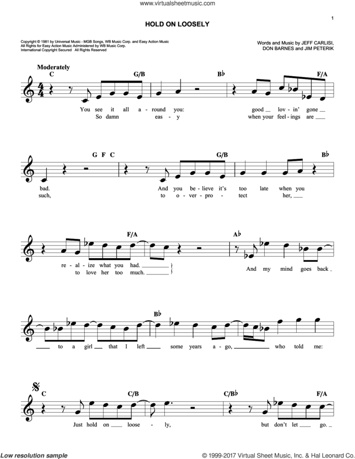 Hold On Loosely sheet music for voice and other instruments (fake book) by 38 Special, Don Barnes, Jeff Carlisi and Jim Peterik, easy skill level
