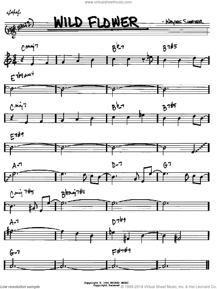 Wild Flower sheet music for voice and other instruments (in Bb) by Wayne Shorter, intermediate skill level