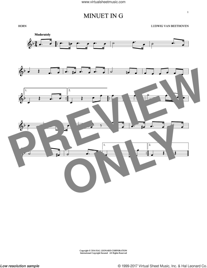 Minuet In G sheet music for horn solo by Johann Sebastian Bach, classical score, intermediate skill level