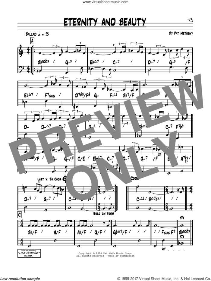 Eternity and Beauty sheet music for voice and other instruments (real book) by Pat Metheny, intermediate skill level