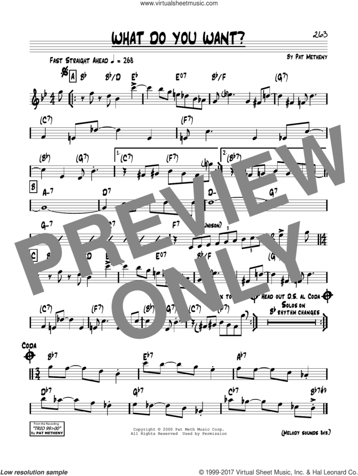 What Do You Want? sheet music for voice and other instruments (real book) by Pat Metheny, intermediate skill level