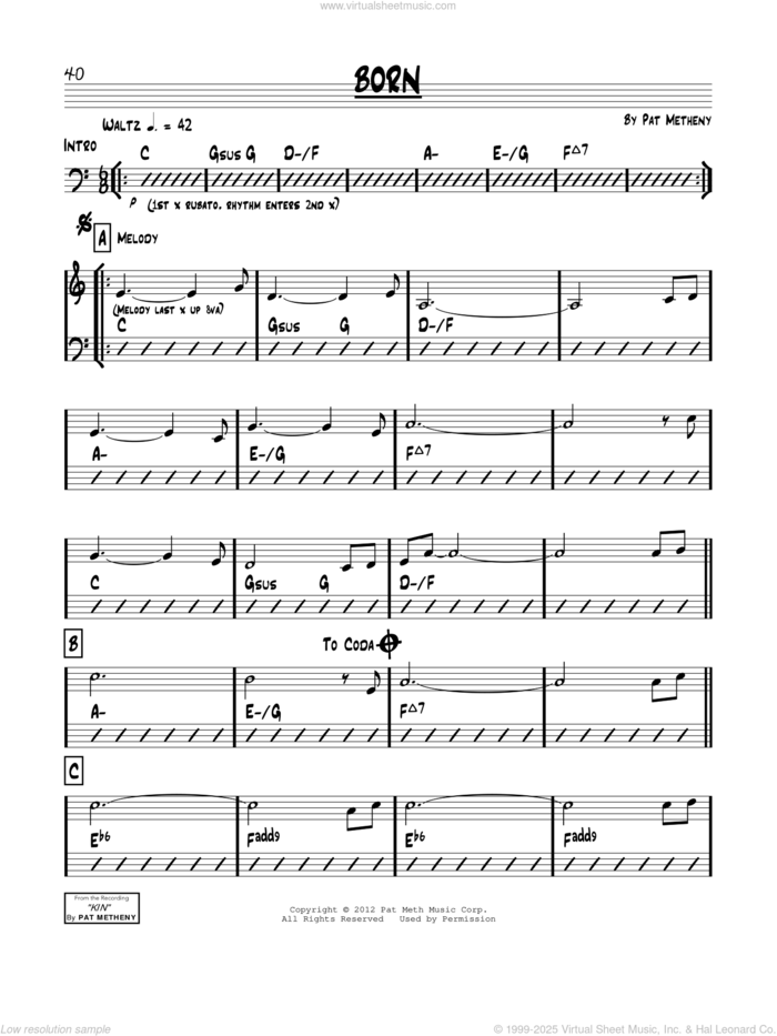 Born sheet music for voice and other instruments (real book) by Pat Metheny, intermediate skill level