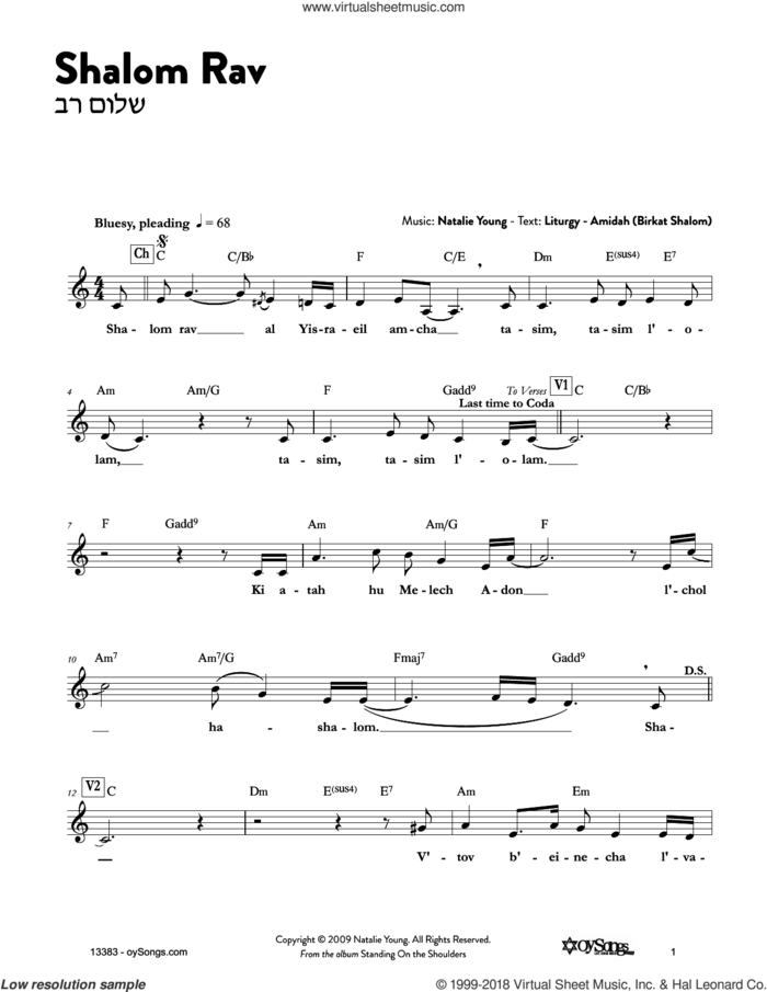 Shalom Rav sheet music for voice and other instruments (fake book) by Natalie Young, intermediate skill level