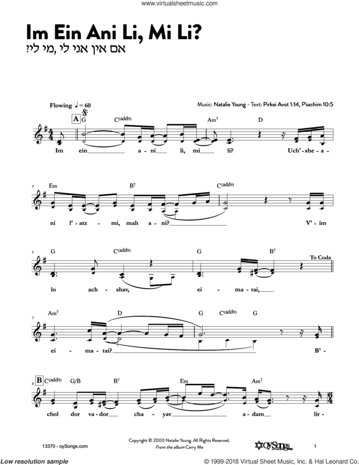 Im Ein Ani Li Mi Li sheet music for voice and other instruments (fake book) by Natalie Young, intermediate skill level
