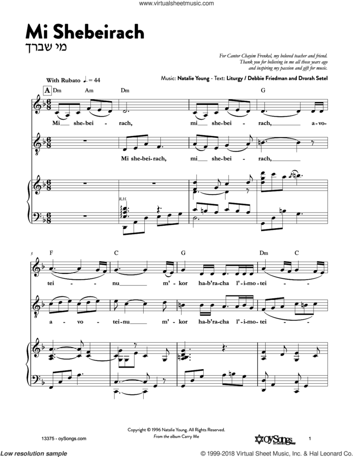Mi Shebeirach sheet music for voice and other instruments (fake book) by Natalie Young, intermediate skill level