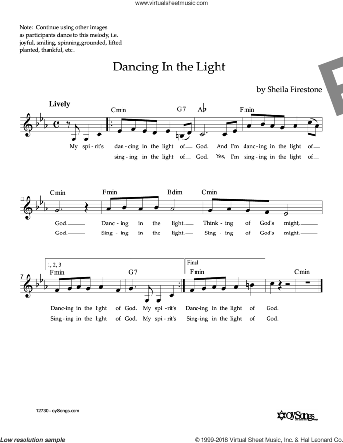 Dancing In The Light sheet music for voice and other instruments (fake book) by Sheila Firestone, intermediate skill level