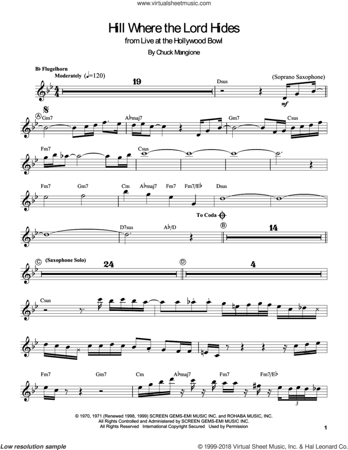 Hill Where The Lord Hides sheet music for trumpet solo (transcription) by Chuck Mangione, intermediate trumpet (transcription)