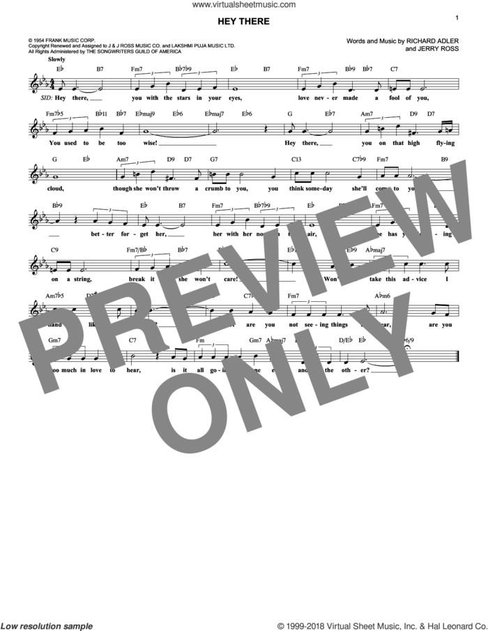 Hey There sheet music for voice and other instruments (fake book) by Richard Adler and Jerry Ross, intermediate skill level
