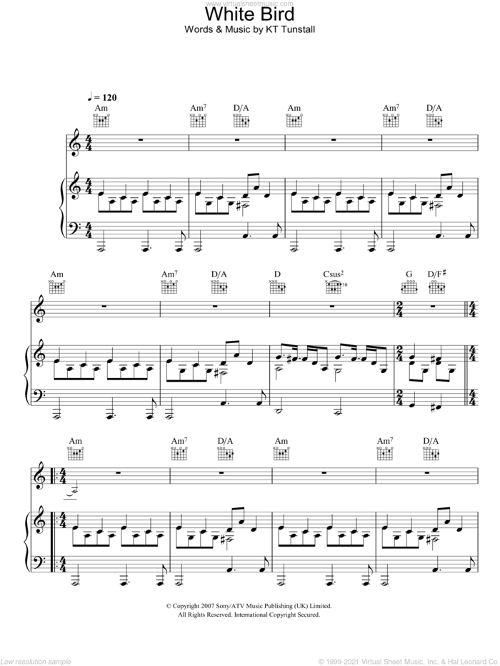 White Bird sheet music for voice, piano or guitar by KT Tunstall, intermediate skill level