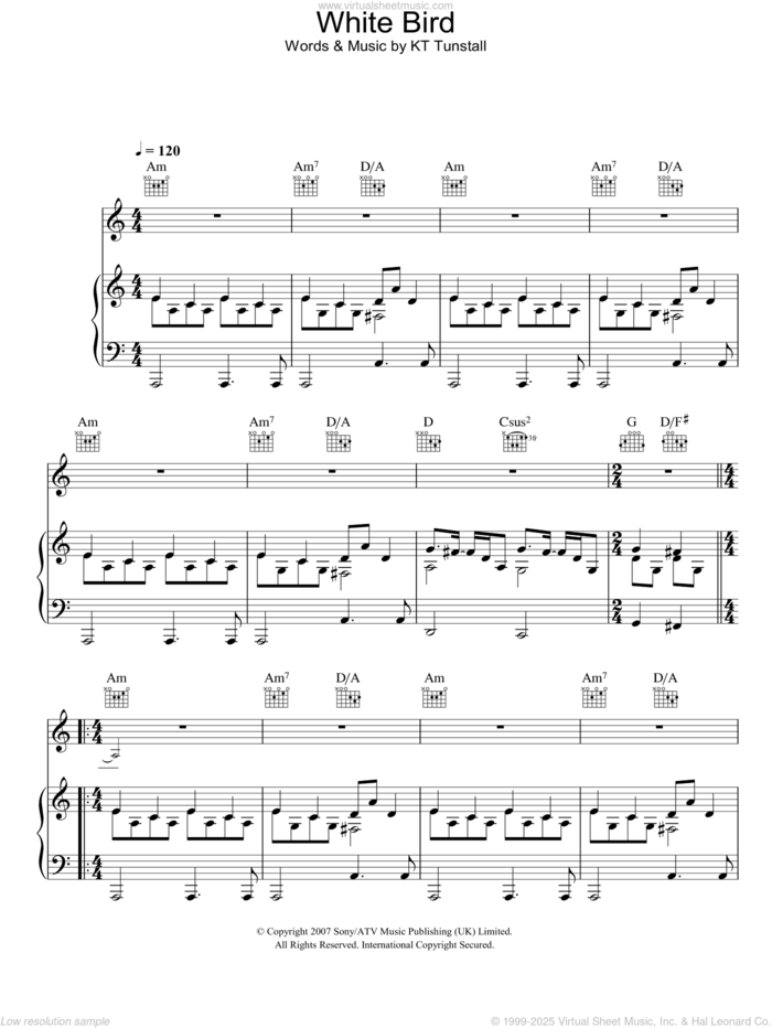 White Bird sheet music for voice, piano or guitar by KT Tunstall, intermediate skill level