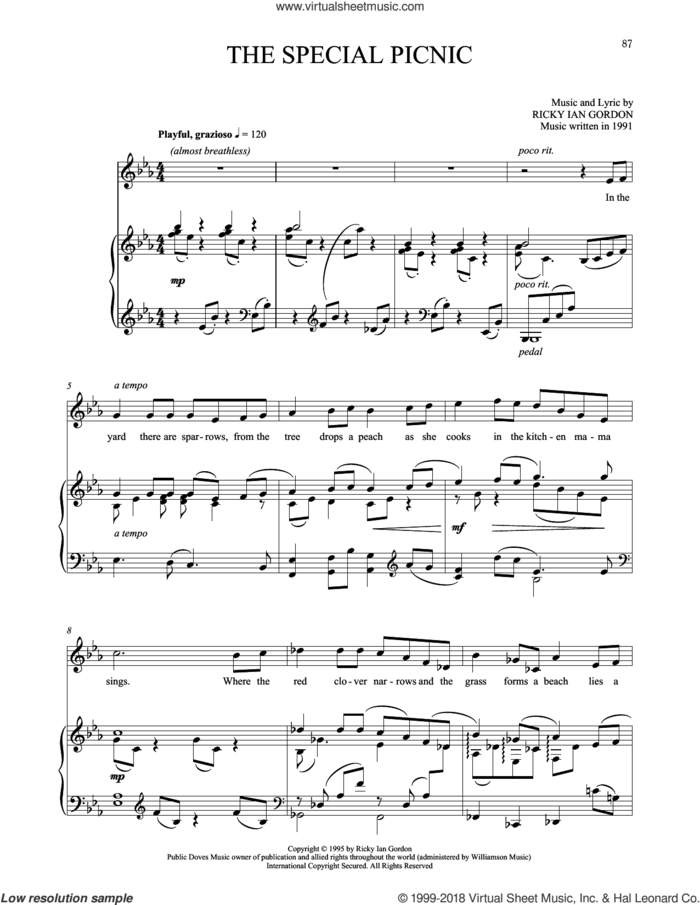 The Special Picnic sheet music for voice and piano by Ricky Ian Gordon, classical score, intermediate skill level