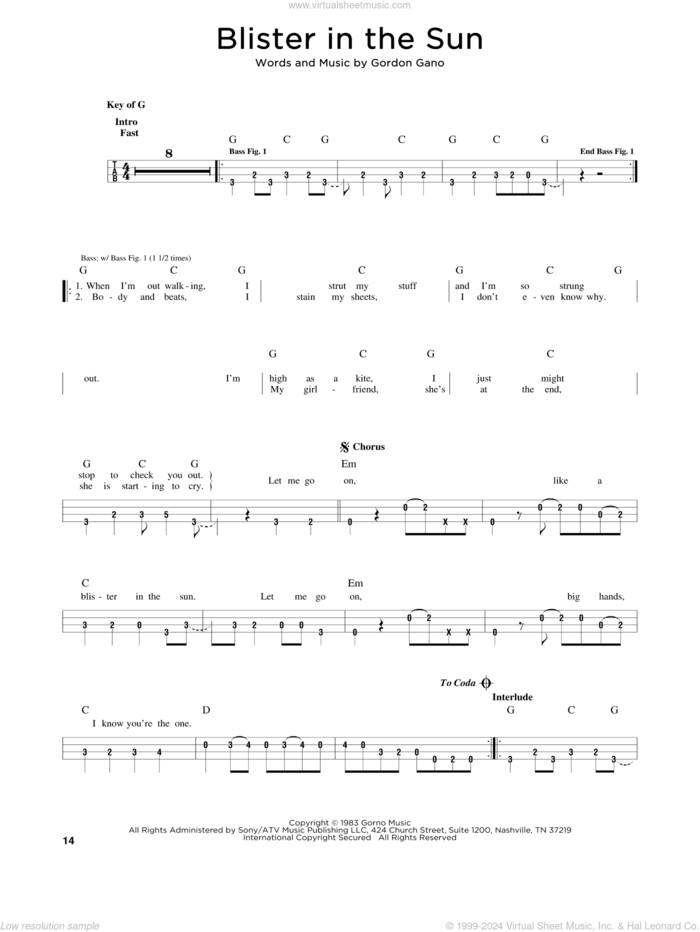 Blister In The Sun sheet music for bass solo by Violent Femmes and Gordon Gano, intermediate skill level