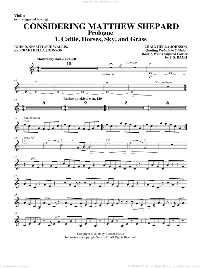 Considering Matthew Shepard sheet music for orchestra/band (violin, with suggested bowing) by Craig Hella Johnson, Leslea Newman and Michael Dennis Browne, intermediate skill level