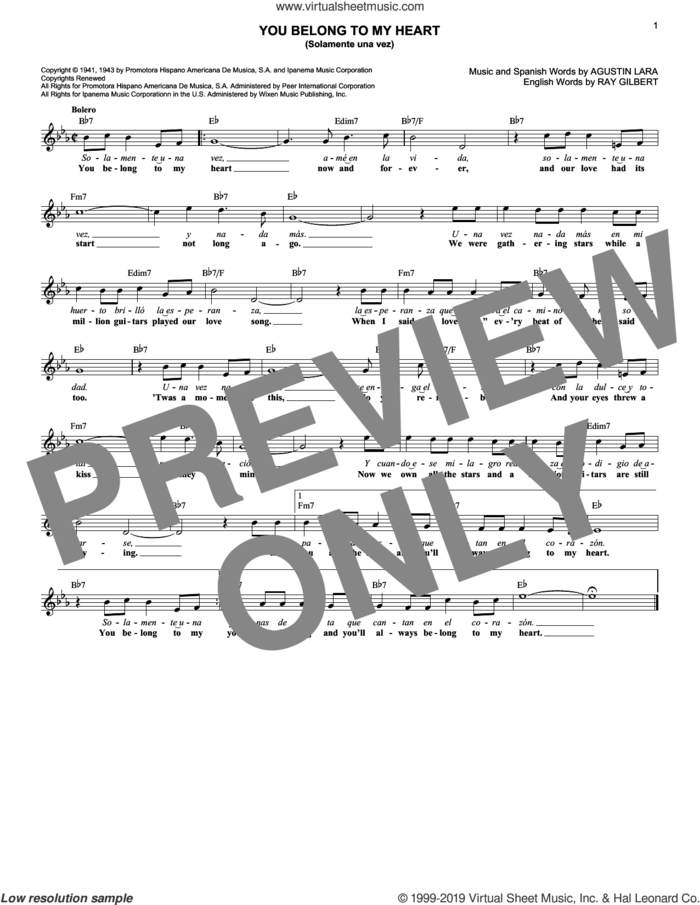 You Belong To My Heart (Solamente Una Vez) sheet music for voice and other instruments (fake book) by Agustin Lara and Ray Gilbert, intermediate skill level