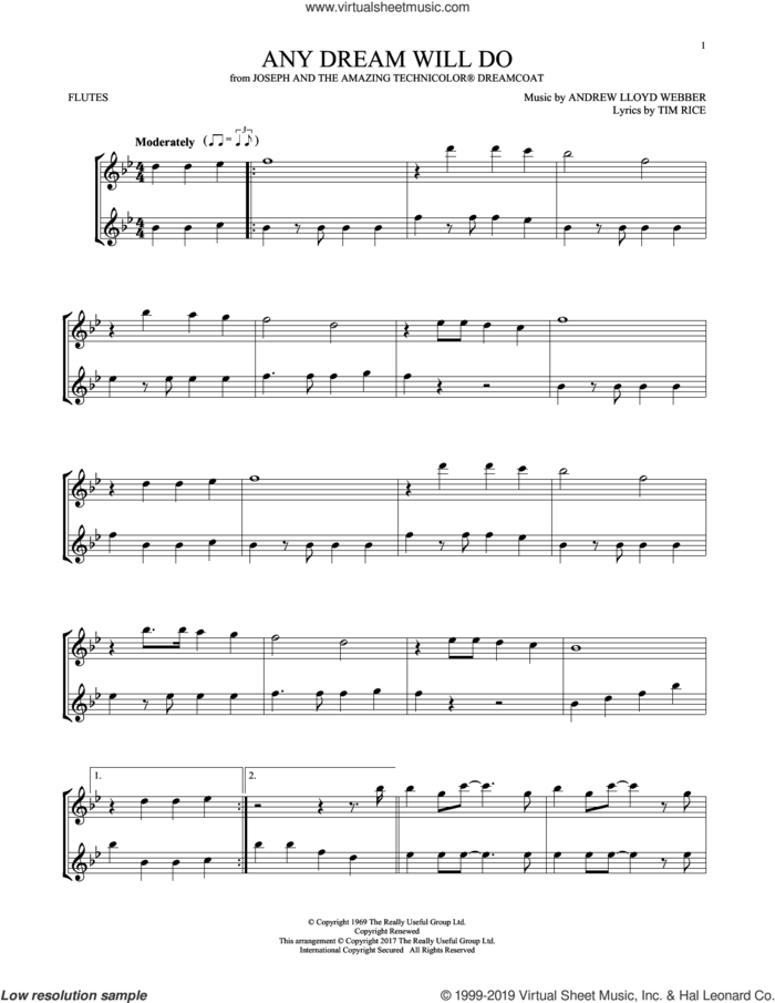 Any Dream Will Do (from Joseph And The Amazing Technicolor Dreamcoat) sheet music for two flutes (duets) by Andrew Lloyd Webber and Tim Rice, intermediate skill level