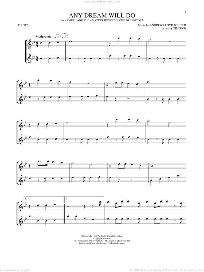 Any Dream Will Do (from Joseph And The Amazing Technicolor Dreamcoat) sheet music for two flutes (duets) by Andrew Lloyd Webber and Tim Rice, intermediate skill level