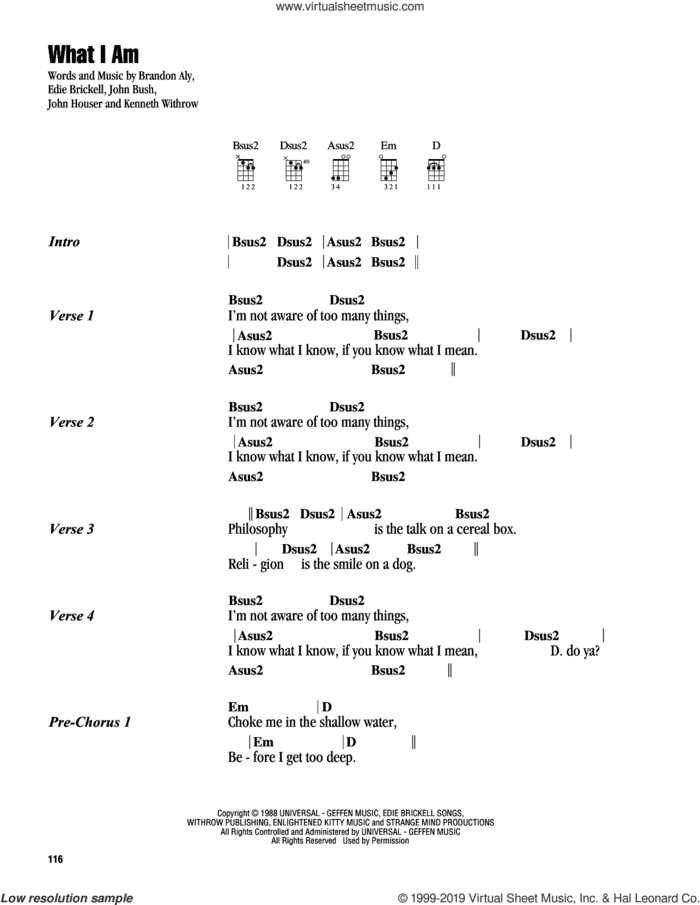 What I Am sheet music for ukulele (chords) by Edie Brickell & New Bohemians, Brandon Aly, Edie Brickell, John Bush, John Houser and Kenneth Withrow, intermediate skill level