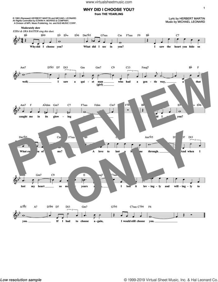 Why Did I Choose You? (from The Yearling) sheet music for voice and other instruments (fake book) by Herbert Martin and Michael Leonard, intermediate skill level
