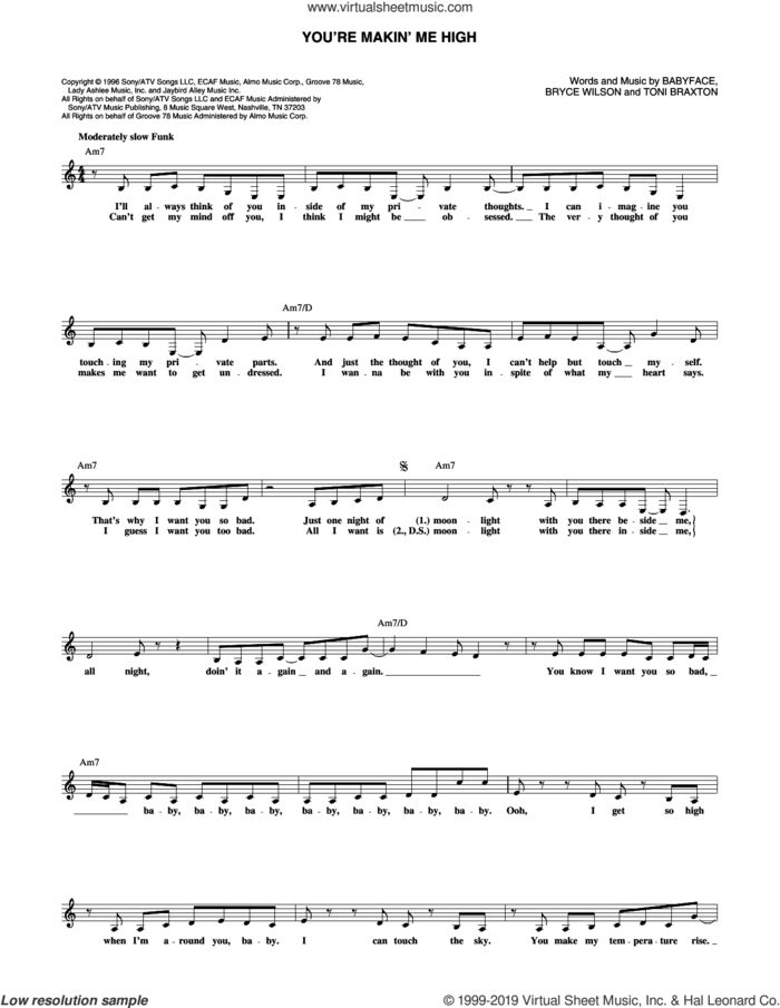You're Makin' Me High sheet music for voice and other instruments (fake book) by Toni Braxton, Babyface and Bryce Wilson, intermediate skill level