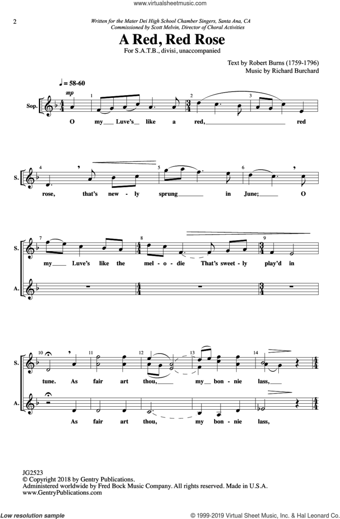 A Red, Red Rose sheet music for choir (SATB: soprano, alto, tenor, bass) by Richard Burchard and Robert Burns, intermediate skill level