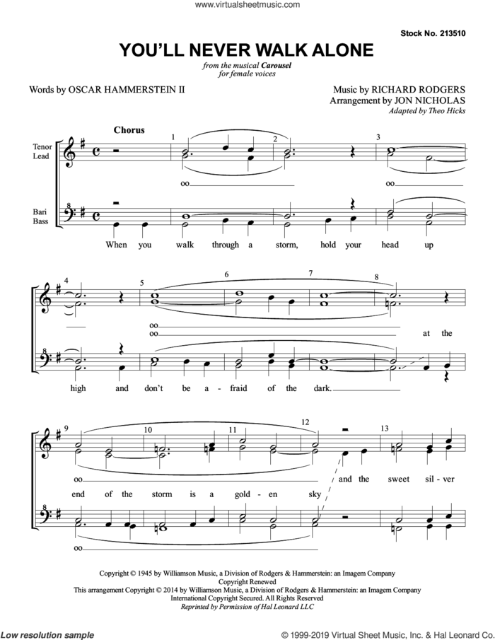 You'll Never Walk Alone (from Carousel) (arr. Jon Nicholas) sheet music for choir (SSAA: soprano, alto) by Rodgers & Hammerstein and Jon Nicholas, intermediate skill level