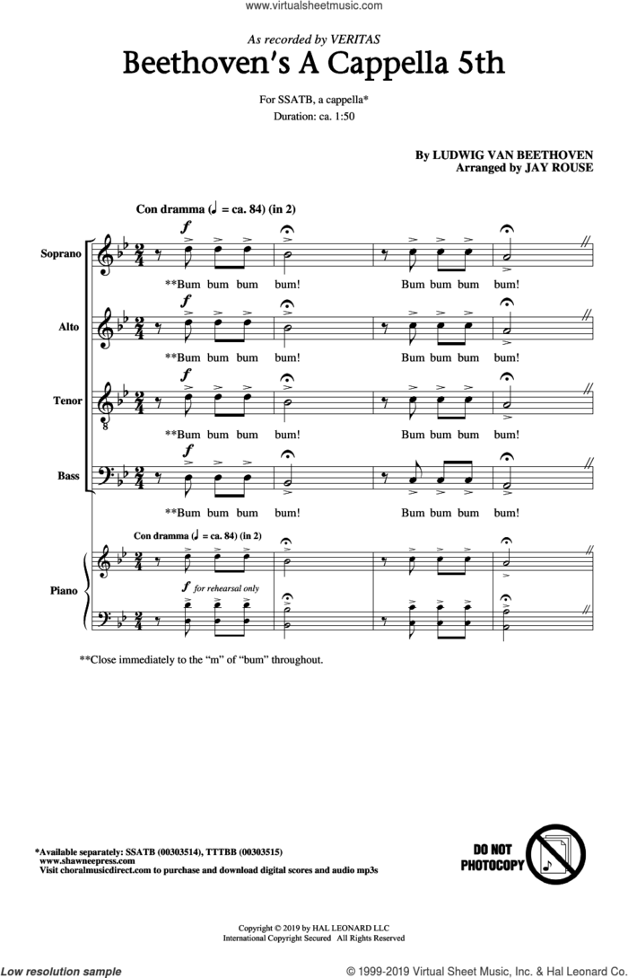 Beethoven's A Cappella 5th (arr. Jay Rouse) sheet music for choir (SSATB) by Veritas, Jay Rouse and Ludwig van Beethoven, intermediate skill level