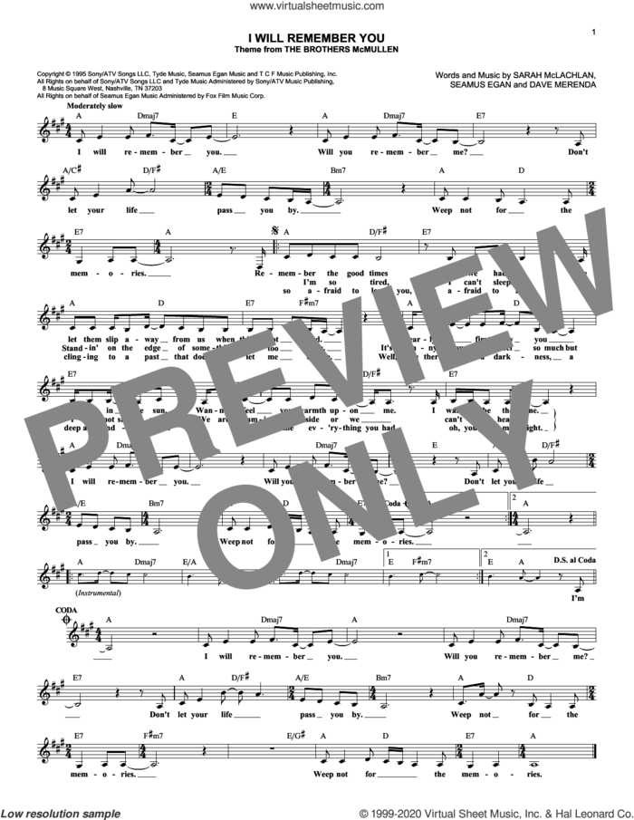 I Will Remember You sheet music for voice and other instruments (fake book) by Sarah McLachlan, Dave Merenda and Seamus Egan, intermediate skill level