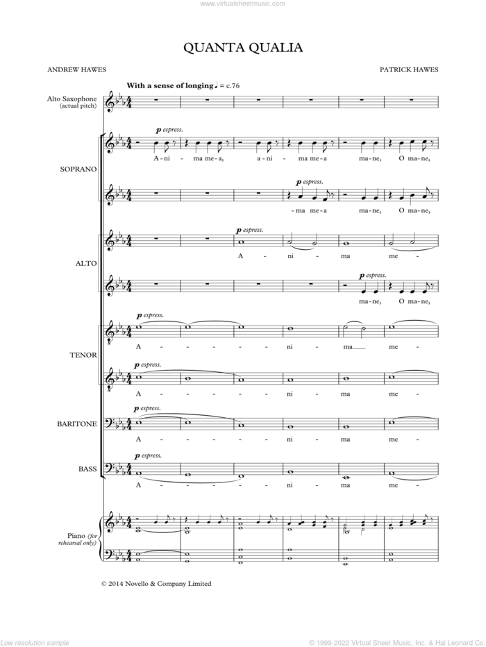 Quanta Qualia sheet music for choir (SSAATTBB) by Patrick Hawes and Andrew Hawes, intermediate skill level