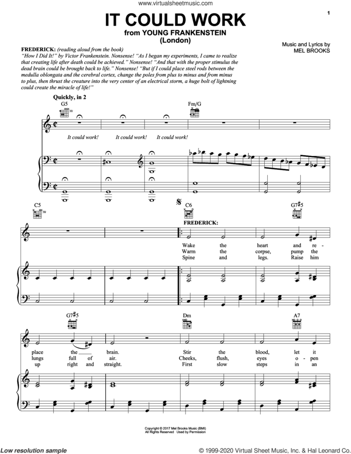 It Could Work (from Young Frankenstein) sheet music for voice, piano or guitar by Mel Brooks, intermediate skill level