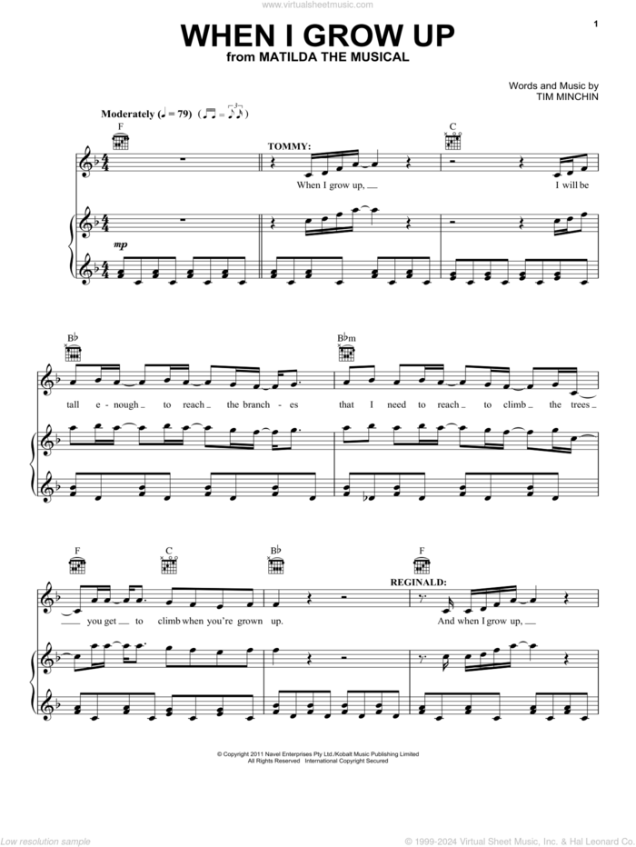 When I Grow Up (from Matilda The Musical) sheet music for voice, piano or guitar by Tim Minchin, intermediate skill level