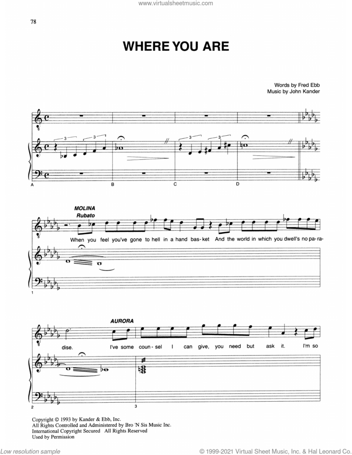 Where You Are (from Kiss Of The Spider Woman) sheet music for voice and piano by John Kander, Fred Ebb and Kander & Ebb, intermediate skill level