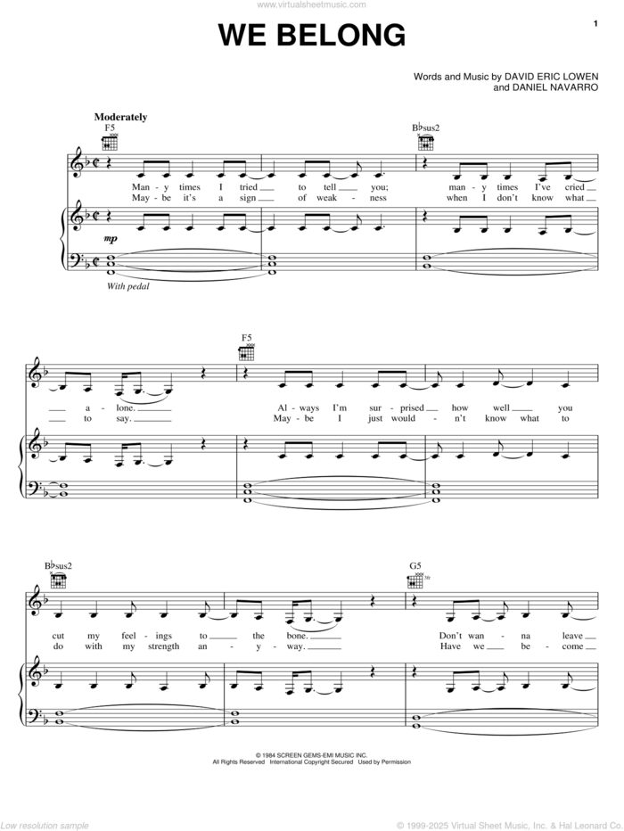 We Belong sheet music for voice, piano or guitar by Pat Benatar, Daniel Navarro and David Eric Lowen, intermediate skill level