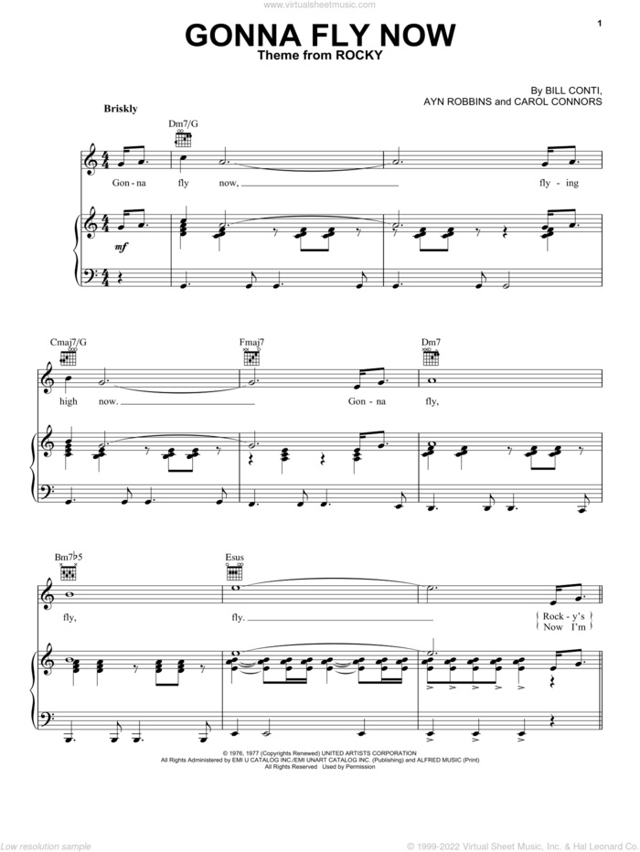 Gonna Fly Now (Theme from Rocky) sheet music for voice, piano or guitar by Bill Conti, Ayn Robbins and Carol Connors, intermediate skill level