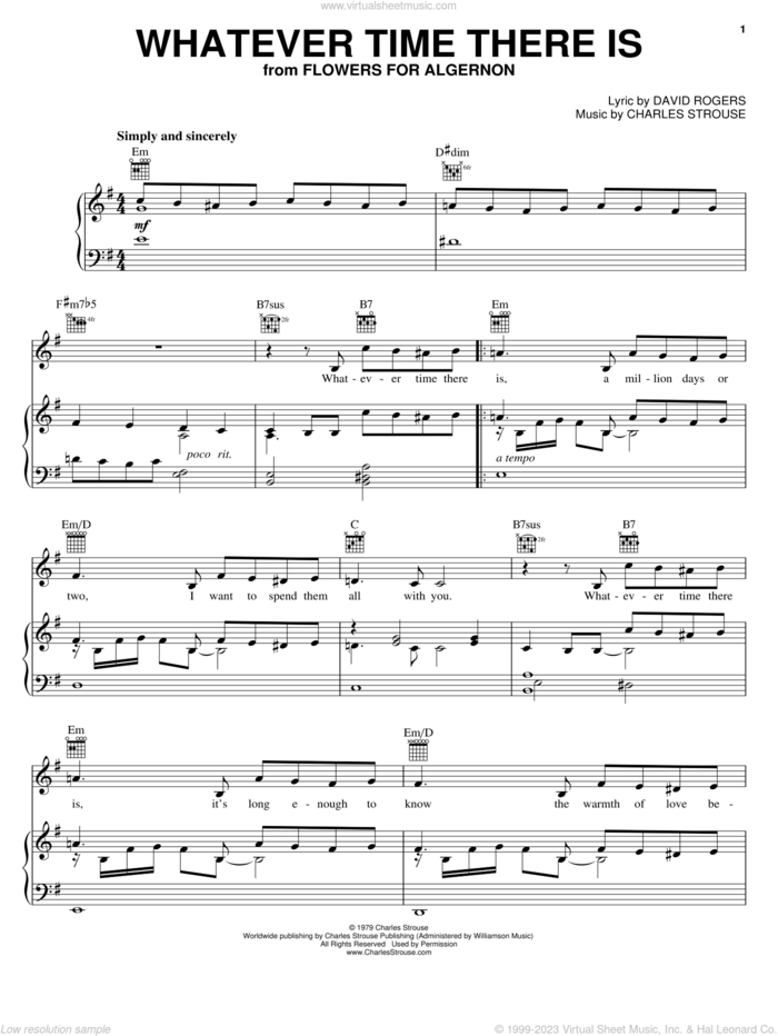 Whatever Time There Is sheet music for voice, piano or guitar by David Rogers and Charles Strouse, intermediate skill level