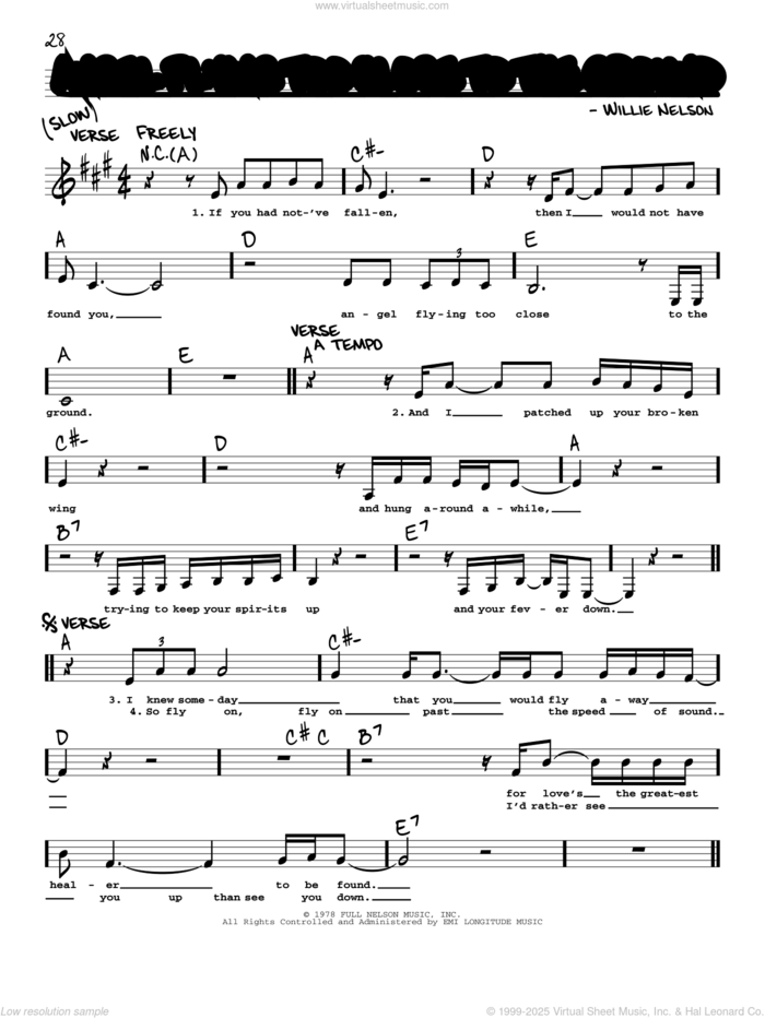 Angel Flying Too Close To The Ground sheet music for voice and other instruments (real book with lyrics) by Willie Nelson, intermediate skill level